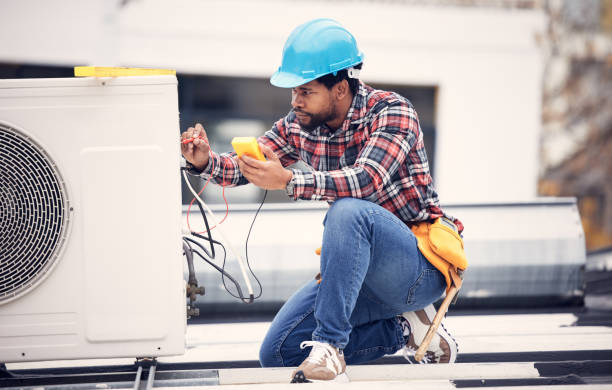 Best 24-Hour Electrician  in Lake Cassidy, WA