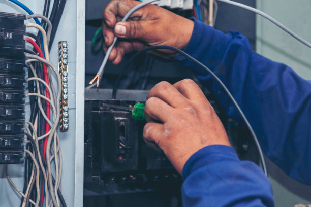 Affordable Electrical Installation in Lake Cassidy, WA