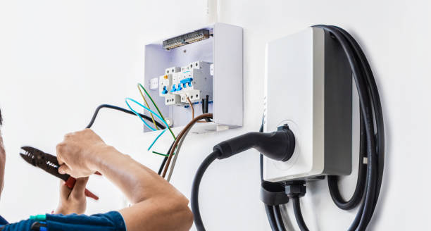 Best Licensed Electrician  in Lake Cassidy, WA